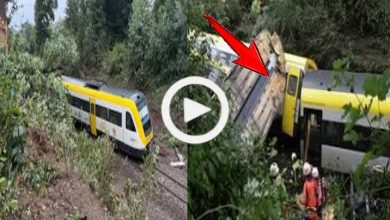Schweres Zugunglück in Baden-Württemberg: Mehrere Tote und zahlreiche Verletzte bei Entgleisung nahe Riedlingen 3 img 1753642890296