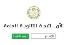 الآن.. نتيجة الثانوية العامة 2025 للطلاب الدوليين متاحة رسميًا برقم الجلوس 7 تنزيل 11
