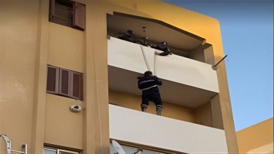 قطة محبوسة في شقة بالسويس.. الشرطة تتدخل بسرعة 5 1755419422350 chiv3r 2 0