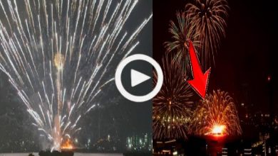 横浜みなとみらい花火大会で火災発生!2025年夏の祭典がわずか15分で中止に 4 img 1754314389996