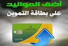 1758363375513 il636m 2 0