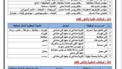 شروط التقديم في وظائف شركة مياه الشرب والصرف الصحي بمحافظات القناة 2025 | الأوراق المطلوبة والرابط الرسمي للتسجيل 5 IMG 20250914 WA0004