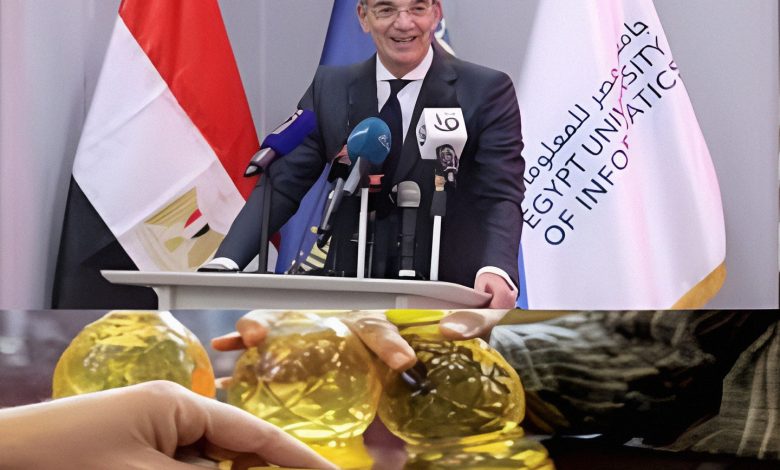 IMG ٢٠٢٥٠٩١٠ ١٥٠٥٥٨