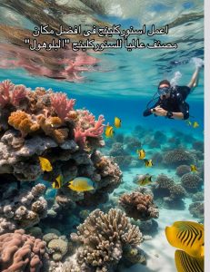 "رحلة نوبيع ودهب من السويس بأقل سعر للفرد.. استمتع بيومين من المغامرة والسهر البدوية في أجمل كامب على البحر الأحمر" 2 1759185220025