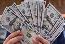 Upfoto z55FjR5TcQyEzy4Nsj2f8UnMBxHR1Xpm9LvO6bogjUrLi