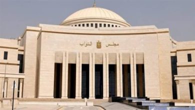 13 مرشحًا يتقدمون رسميًا للترشح في انتخابات مجلس النواب 2025 بمحافظة السويس.. أسماء المرشحين كاملة والأحزاب الممثلة 32 images