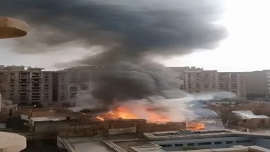 1764337514775 dsujtd 2 0