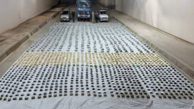 FB IMG 1763379504285