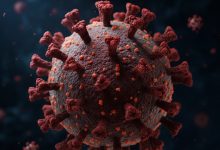 IMG ٢٠٢٥١١٢١ ٢٢٢٥٣٤