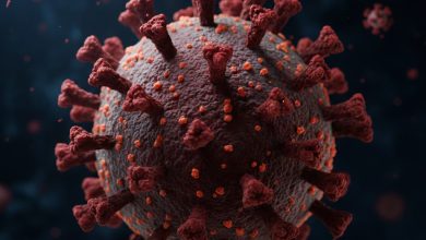 IMG ٢٠٢٥١١٢١ ٢٢٢٥٣٤