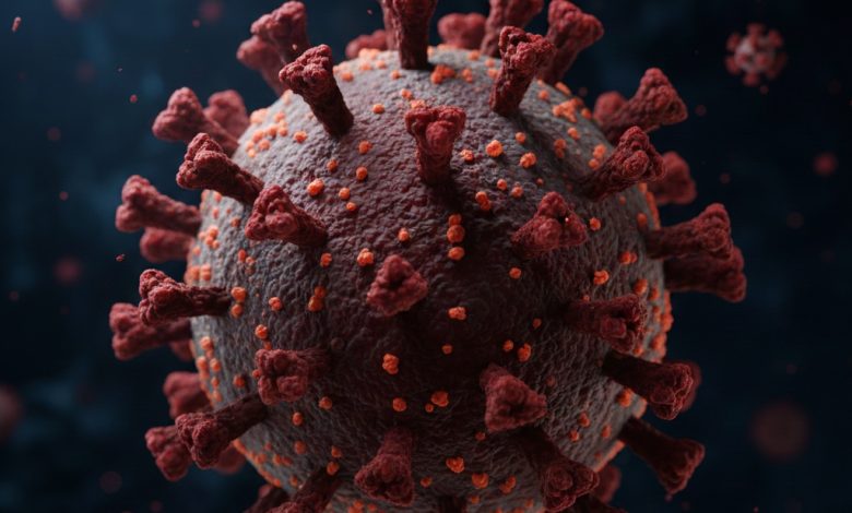 IMG ٢٠٢٥١١٢١ ٢٢٢٥٣٤