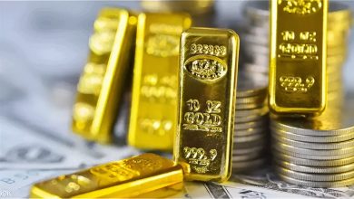 Upfoto GoQuadqLh5cpUTcxCN81NZqlIhN8SeGe0ptrxC7QIpLtA