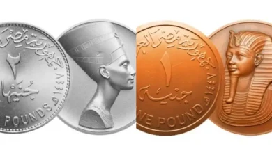 الجنيه المصري الجديد