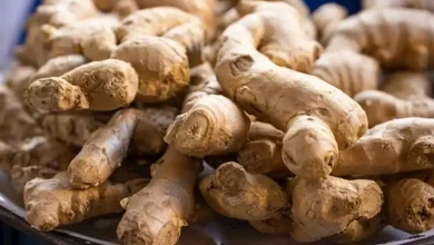 أضرار الإفراط في شرب الزنجبيل