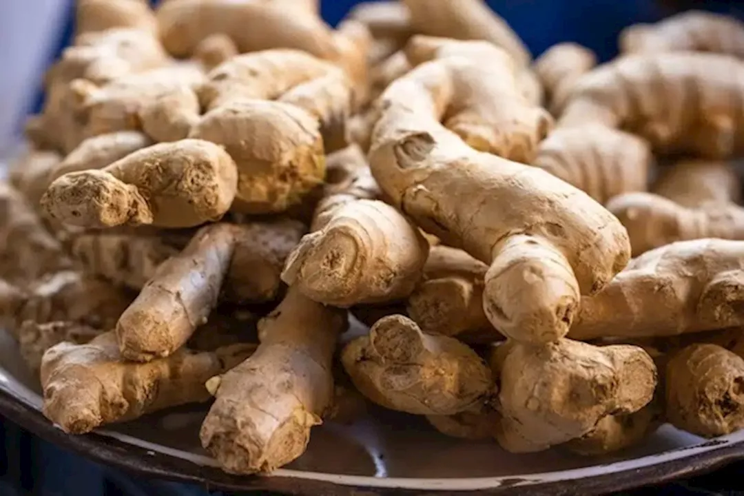 أضرار الإفراط في شرب الزنجبيل.. 9 آثار جانبية احذر منها رغم فوائده 1 أضرار الإفراط في شرب الزنجبيل