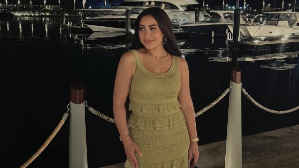 تفاصيل قضية بوسي والشيكات