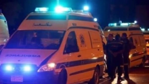 مشاجرة بين أبناء عمومة تنتهي بمقتل شاب وإصابة والده في أسيوط