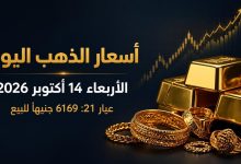 تنزيل 6